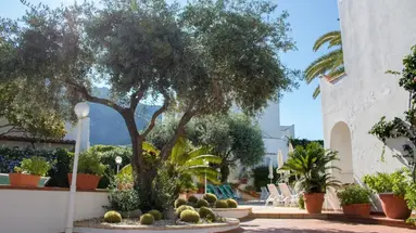 Terme Royal Palm