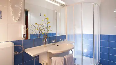 Terme Topolsica Hotel Vesna