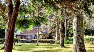 Terra Nostra Garden