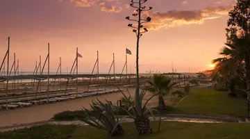TERRACE BEACH RESORT HOTEL