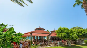 Terrace Beach Resort