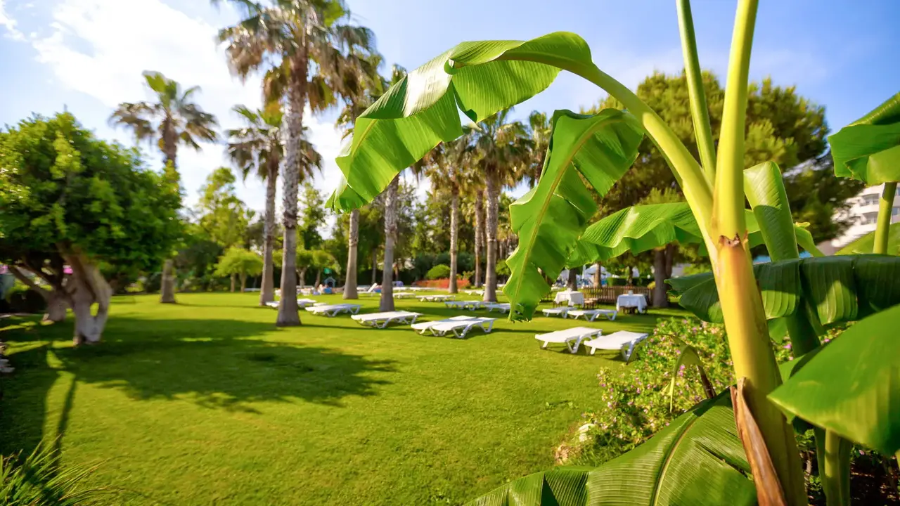 Terrace Beach Resort