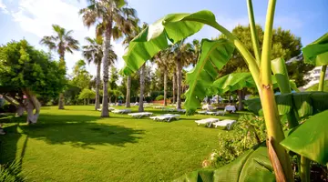 Terrace Beach Resort