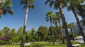 TERRACE BEACH