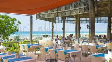 TERRACE BEACH