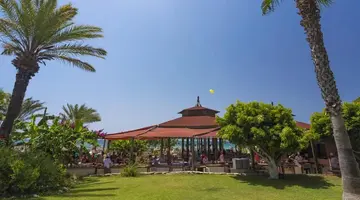 TERRACE BEACH