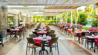 Terrace Elite Resort