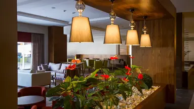TERRACE ELITE RESORT