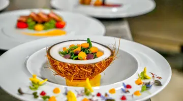 Terrace Elite Resort
