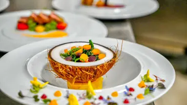 Terrace Elite Resort