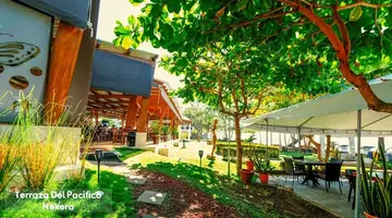 Terraza del Pacifico