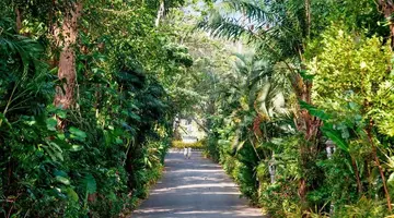 Thavorn Palm Beach Resort