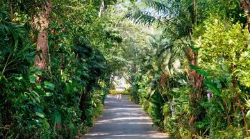 Thavorn Palm Beach Resort