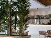 THB BAMBOO ALCUDIA (ADULTS ONLY 18+)