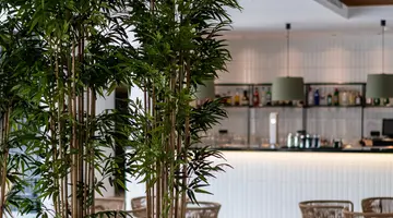 THB BAMBOO ALCUDIA (ADULTS ONLY 18+)