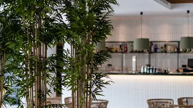 THB BAMBOO ALCUDIA (ADULTS ONLY 18+)