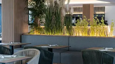 THB Bamboo Alcudia