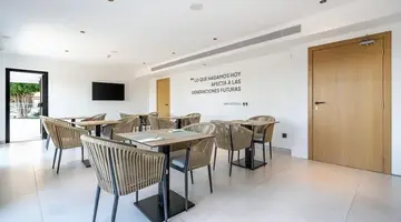 THB Bamboo Alcudia