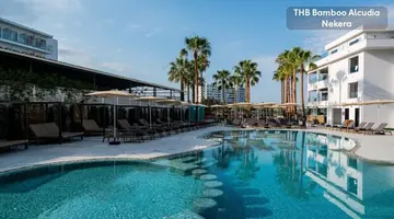 THB BAMBOO