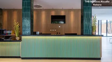 THB BAMBOO