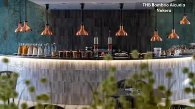 THB BAMBOO