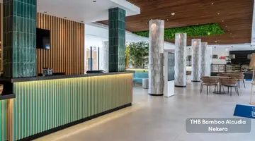 THB BAMBOO