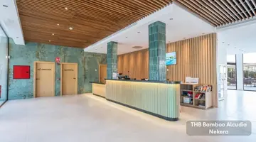 THB BAMBOO
