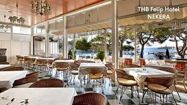 THB HOTEL FELIP