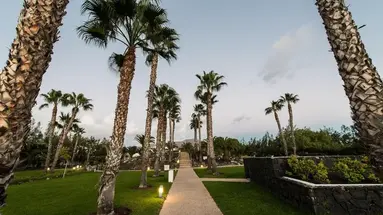 THB Tropical Island