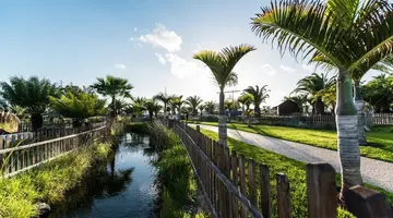 THB Tropical Island