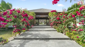 The Barefoot Eco Hotel