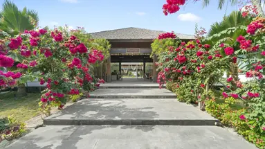 The Barefoot Eco Hotel