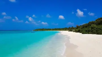The Barefoot Eco Hotel