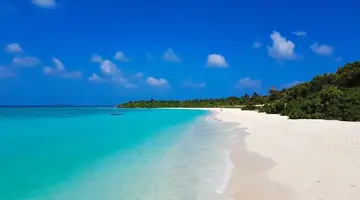 The Barefoot Eco Hotel