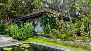 The Barefoot Eco Hotel