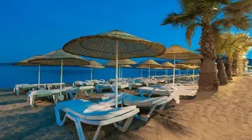 THE BEACH FRONT HOTEL ADULT ONLY +16