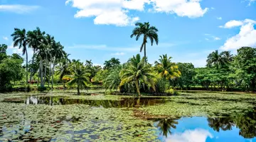 The best of Cuba