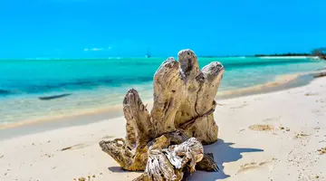 The best of Cuba