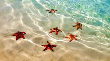 The best of Cuba