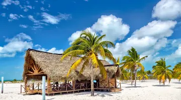 The best of Cuba
