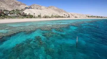 The best of Jordan
