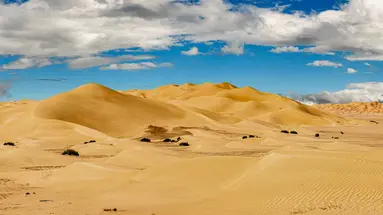 The Best of Oman