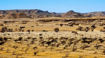 The Best of Oman