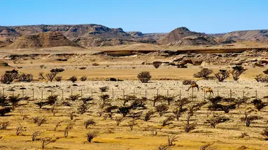 The Best of Oman