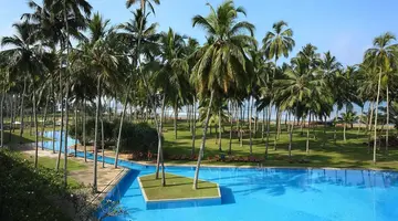 The Blue Water