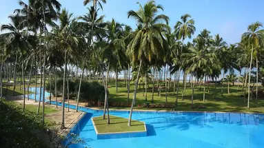 The Blue Water