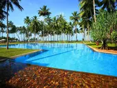 The Blue Water
