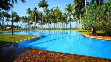 The Blue Water