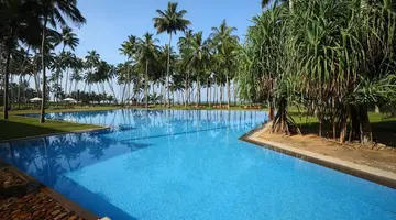 The Blue Water