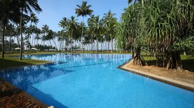 The Blue Water